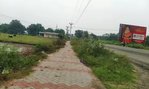 திண்டுக்கல்-பழனி இடையே புதர்மண்டி கிடக்கும் பாதயாத்திரை பாதை திண்டுக்கல்-பழனி இடையே புதர்மண்டி கிடக்கும் பாதயாத்திரை பாதை