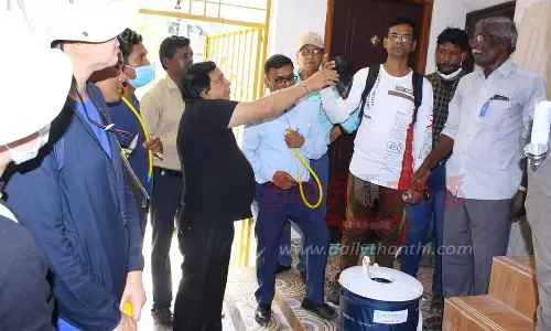 டெங்கு, சிக்குன் குனியாவை பரப்பும் கொசுக்கள்