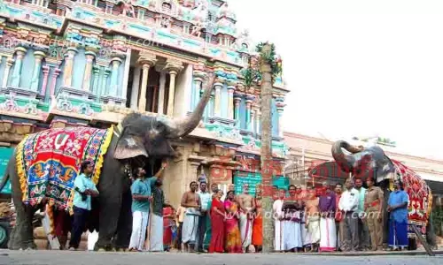 ஸ்ரீரங்கம் ரெங்கநாதர் கோவிலில் சொக்கப்பனைக்காக முகூர்த்தக்கால் நடும் விழா ஸ்ரீரங்கம் ரெங்கநாதர் கோவிலில் சொக்கப்பனைக்காக முகூர்த்தக்கால் நடும் விழா