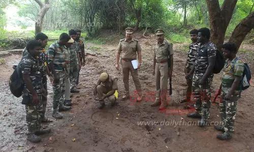பவானிசாகர் வனப்பகுதியில் புலிகள் எண்ணிக்கை அதிகரிப்பு பவானிசாகர் வனப்பகுதியில் புலிகள் எண்ணிக்கை அதிகரிப்பு