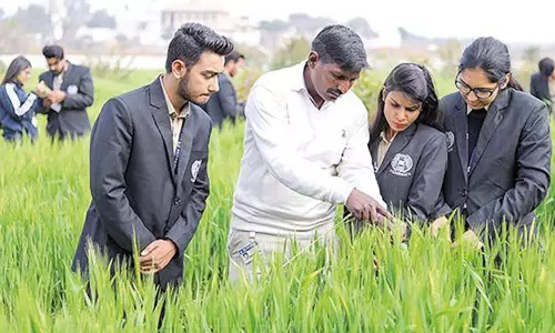 வேளாண்மை சார்ந்த படிப்புகளும், வேலைவாய்ப்புகளும்...! வேளாண்மை சார்ந்த படிப்புகளும், வேலைவாய்ப்புகளும்...!
