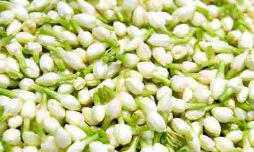 குமரி, தேனி, மதுரையில் மல்லிகை பூவின் விலை கிடுகிடு உயர்வு