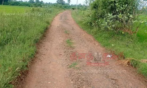 தார்சாலையாக  மாற்றி தர வேண்டும் தார்சாலையாக  மாற்றி தர வேண்டும்