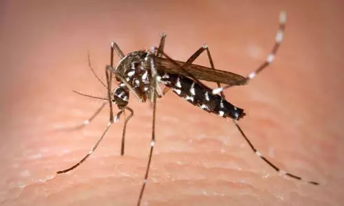 வைரஸ் காய்ச்சலுக்கு 25 பேர் அனுமதி