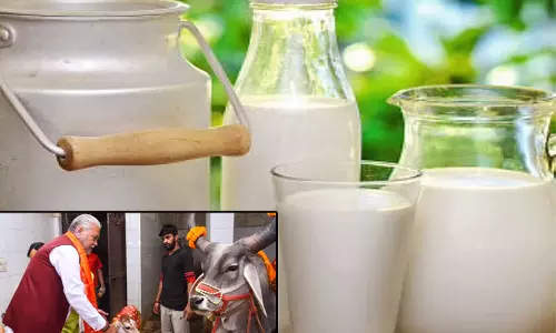 விவசாயிகளின் வருமானத்தை அடுத்த 4 ஆண்டுகளில் இரட்டிப்பாக்குவதே இலக்கு: அமுல் நிறுவனம்