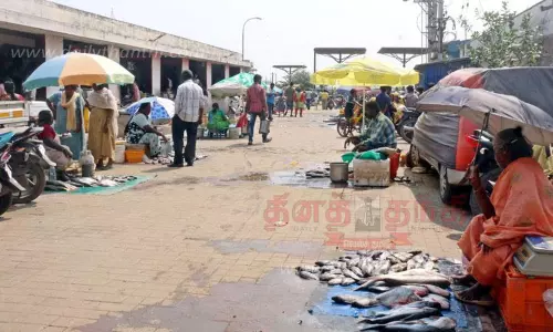 உக்கடம் மார்க்கெட்டில் மீன்கள் விலை குறைந்தது