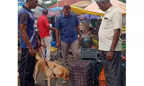 நாளை பாபர் மசூதி இடிப்பு தினம்:    கடலூா் மாவட்டத்தில் 1,500 போலீசார் பாதுகாப்பு    முக்கிய இடங்களில் வெடிகுண்டு சோதனை