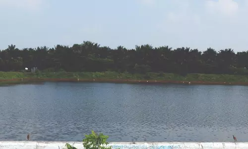 குடிமங்கலம் குளம் நிரம்பியதால் விவசாயிகள் மகிழ்ச்சி அடைந்துள்ளனர் குடிமங்கலம் குளம் நிரம்பியதால் விவசாயிகள் மகிழ்ச்சி அடைந்துள்ளனர்