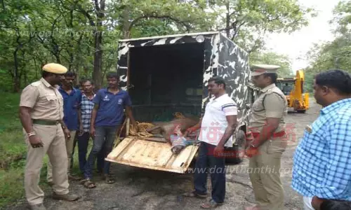 ஊருக்குள் புகுந்த மான் மீட்பு