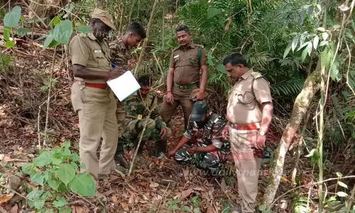 வனவிலங்குகள் கணக்கெடுப்பு பணி தொடங்கியது