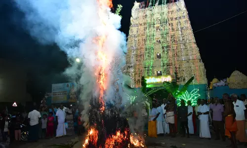 சொக்கப்பனை கொளுத்தும் நிகழ்ச்சி சொக்கப்பனை கொளுத்தும் நிகழ்ச்சி