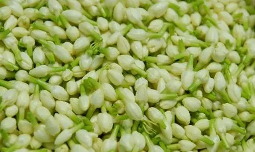 பூக்கள் விலை‌ சரிவு