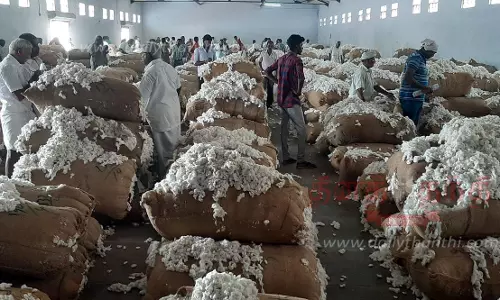 ரூ.48 லட்சத்துக்கு பருத்தி ஏலம்