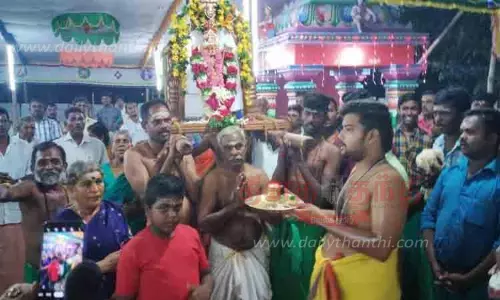 வாழை மர பாலசுப்பிரமணிய சுவாமி கோவிலில் கார்த்திகை தீப திருவிழா வாழை மர பாலசுப்பிரமணிய சுவாமி கோவிலில் கார்த்திகை தீப திருவிழா