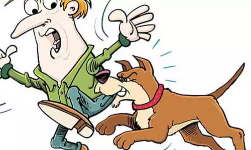 வெறிநாய்கள் கடித்து 3 பேர் படுகாயம் வெறிநாய்கள் கடித்து 3 பேர் படுகாயம்