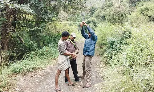 யானை வருவதை தடுக்க நூதன திட்டம்