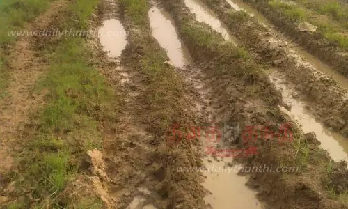 பாசன வாய்க்கால் கரை சீரமைக்கப்படுமா?