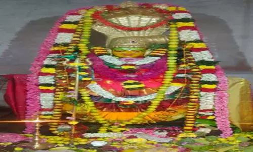 நெகமம் அருகே நாகசக்தி அம்மன் கோவிலில் சிறப்பு வழிபாடு