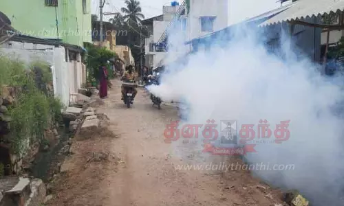 ஆனைமலையில் டெங்கு தடுப்பு பணிகள் தீவிரம்