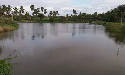 தொடர் பலத்த மழையினால் ரத்தினபுரி குளம் நிரம்பியது