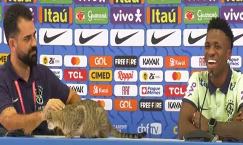 பிரேசில் வீரரின் பேட்டிக்கு வந்த பூனை