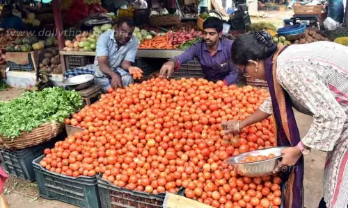 ஈரோடு மார்க்கெட்டில்  தக்காளி விலை வீழ்ச்சி; கிலோ ரூ.10-க்கு விற்பனை