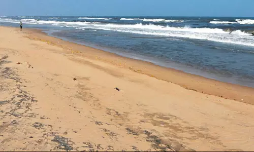 தூத்துக்குடியில் கடல் உள்வாங்கியதால் பரபரப்பு தூத்துக்குடியில் கடல் உள்வாங்கியதால் பரபரப்பு