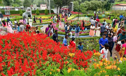 மாண்டஸ் புயல்: கொடைக்கானல் சுற்றுலா தலங்களுக்கு செல்ல பொதுமக்களுக்கு தடை