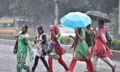 எந்த எந்த மாவட்டத்தில் நாளை பள்ளி, கல்லூரிகளுக்கு விடுமுறை?