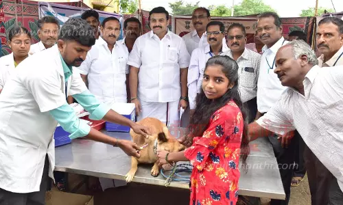 எர்ணாபுரத்தில்  வெறிநோய் தடுப்பூசி முகாம்  அமைச்சர் மதிவேந்தன் தொடங்கி வைத்தார்