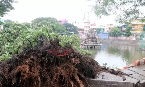 மாண்டஸ் புயலால் ஏற்பட்ட பாதிப்புகள் என்னென்ன? - அமைச்சர் விளக்கம்