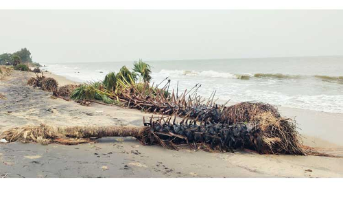 கடலூருக்கு தொந்தரவு தராமல் கரையை கடந்த மாண்டஸ் புயல்  கடல் சீற்றத்தால் கடற்கரையோர கிராமங்களில் மண் அரிப்பு