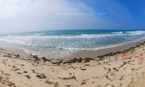 10 கி.மீ. தூரத்துக்கு கடல் பாசி வரைந்த கோடு 10 கி.மீ. தூரத்துக்கு கடல் பாசி வரைந்த கோடு