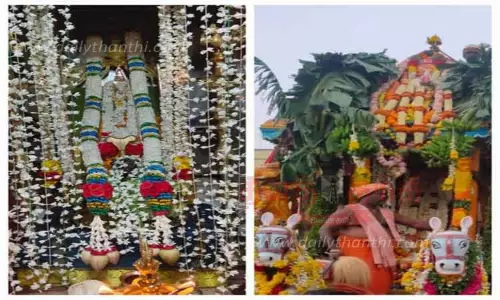 நாராயண சுவாமி கோவில் திருவிழா