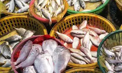 விசைப்படகு மீனவர்கள் கடலுக்கு செல்லாததால் மீன்களின் விலை கிடு,கிடு உயர்வு