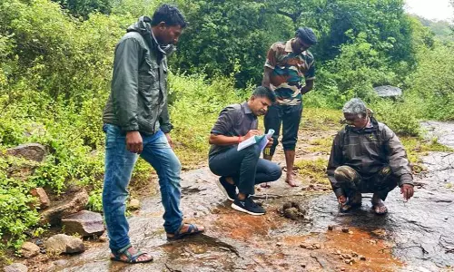 கொட்டும் மழையில் வனவிலங்குகள் கணக்கெடுப்பு பணி கொட்டும் மழையில் வனவிலங்குகள் கணக்கெடுப்பு பணி