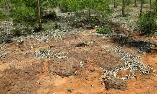 3,500 ஆண்டுகள் பழமையான கல்வட்டங்கள் கண்டெடுப்பு