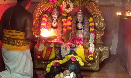 சங்கடகர சதுர்த்திையயொட்டி  ராசிபுரம் இரட்டை விநாயகர் ேகாவிலில் சிறப்பு அபிஷேகம்