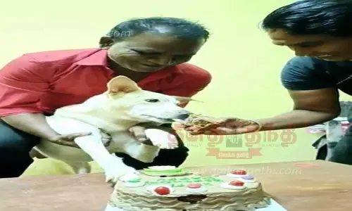நாய்க்குட்டியின் பிறந்த நாள் கேக் வெட்டி கொண்டாட்டம்