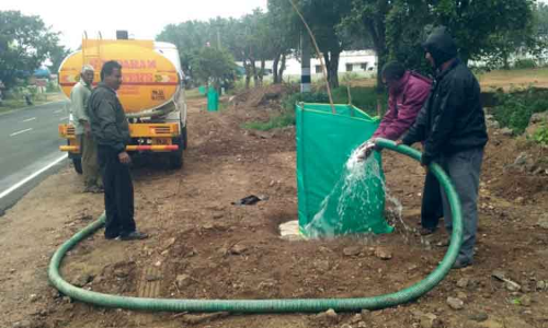 பொள்ளாச்சி கோட்டத்தில் சாலை விரிவாக்க பகுதியில் 1000 மரக்கன்றுகள் நடவு-நெடுஞ்சாலைத்துறை அதிகாரிகள் தகவல்