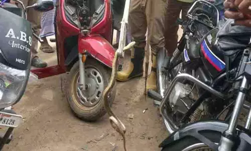 ஸ்கூட்டரில் புகுந்த பாம்பால் பரபரப்பு ஸ்கூட்டரில் புகுந்த பாம்பால் பரபரப்பு