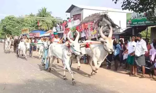 மாட்டு வண்டி பந்தயம் மாட்டு வண்டி பந்தயம்