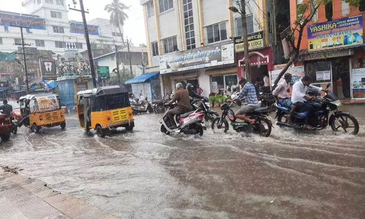 மின்னல் தாக்கி 5 மாடுகள் செத்தன