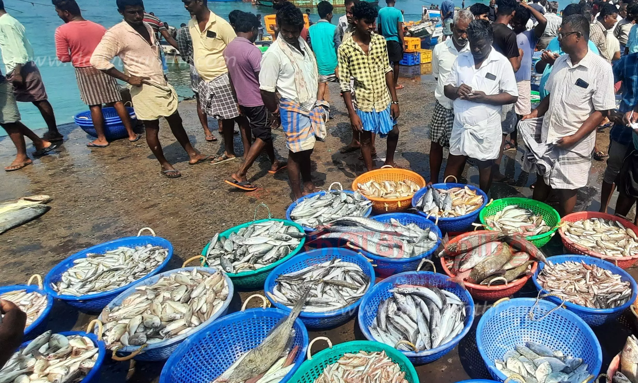 மீன்பிடித்து கரை திரும்பிய பாம்பன் மீனவர்கள்