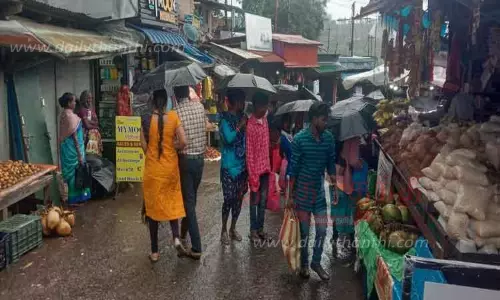 வால்பாறையில் 4-வது நாளாக மழை