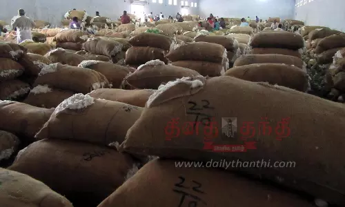 நாமக்கல்லில் ரூ.38 லட்சத்துக்கு பருத்தி ஏலம் நாமக்கல்லில் ரூ.38 லட்சத்துக்கு பருத்தி ஏலம்