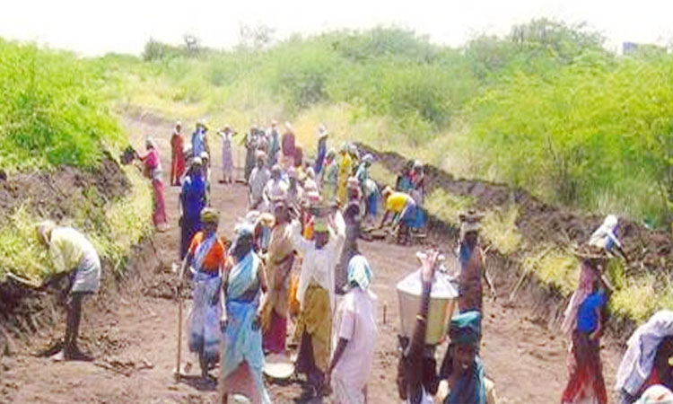 Urge to extend 100 day work program to municipality | 100 நாள் வேலை ...