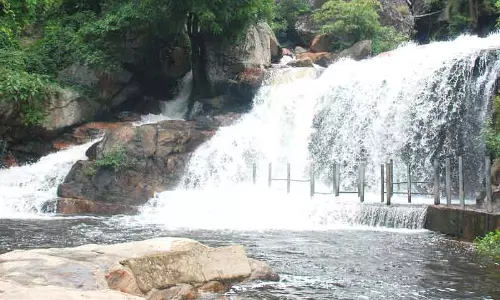 பஞ்சலிங்க அருவியில் குளிக்க தடை