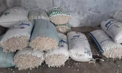 தொடர் மழை:    கள்ளக்குறிச்சி வாரச்சந்தைக்கு பருத்தி வரத்து குறைவு