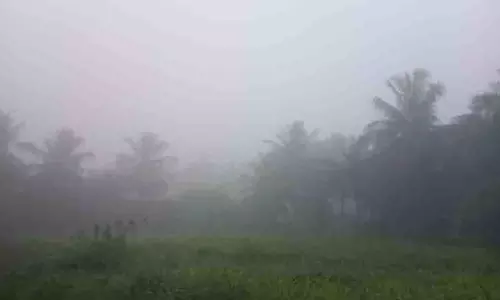 நொய்யல் பகுதியில் கடும் பனிப்பொழிவு